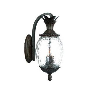 Acclaim Lighting Lanai Collection 3 Light Black Coral Outdoor Wall Mount Light Fixture 7512BC