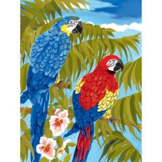 Junior Small Paint By Number Kit 8 3/4" X 11 3/4" Parrots