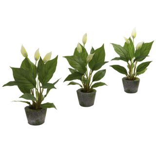Nearly Natural Nearly Natural Spathyfillum Desk Top Plant in Pot