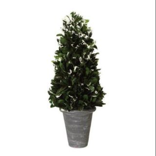 Pack of 2 Green Frosted Japanese Holly Cone Artificial Christmas Tree Decorations in Pots 21"