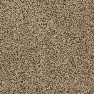 STAINMASTER TruSoft Private Oasis II Niagara Textured Indoor Carpet