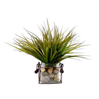 Creative Displays, Inc. Spring Additions Vanilla Grass in Round Wire