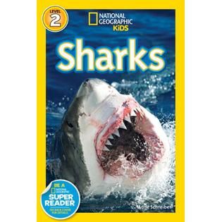 National Geographic Readers Sharks   Books & Magazines   Books