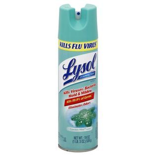 Lysol Disinfectant Spray, Garden Mist, 19 oz (1 lb 3 oz) 539 g   Food