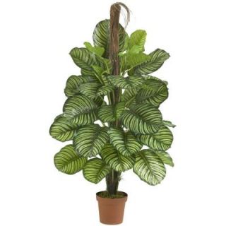 Nearly Natural Real Touch 52 in. H Green Calathea Silk Plant 6588