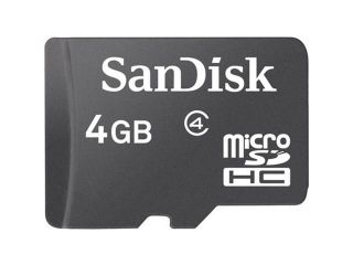 SanDisk 4 GB microSD High Capacity (microSDHC)   1 Card