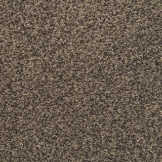 STAINMASTER Active Family Informal Affair Wisteria Textured Indoor Carpet