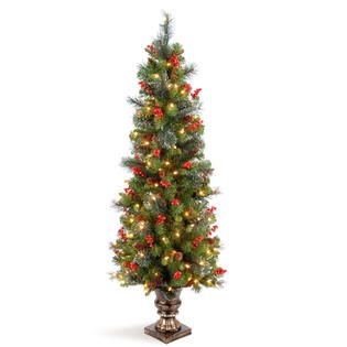 National Tree Company 5 ft. Crestwood Spruce Entrance Tree with Clear