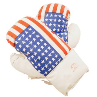 Defender USA 12 ounce Boxing Gloves   14275749  