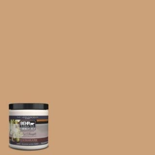 BEHR Premium Plus Ultra 8 oz. #UL140 19 Kenya Interior/Exterior Paint Sample UL140 19