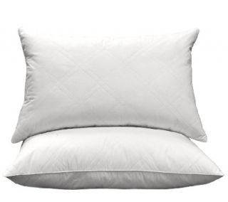 Blue Ridge 95/5 White Goose Feather & Down Quilted Pillow S/2 —