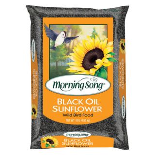 Morning Song Black Oil Sunflower, 10 Pounds