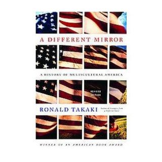 Different Mirror (Revised) (Paperback)