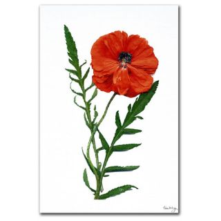 Poppy by Kathie McCurdy Painting Print on Canvas