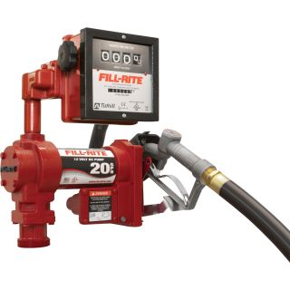 Fill-Rite High-Flow Pump with Model 901 Meter — 12 Volt DC, 20 GPM, Model# FR4211G  DC Powered Fuel Pumps