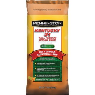 Pennington Seed Kentucky 31 Fescue Grass Seed, 7 lbs