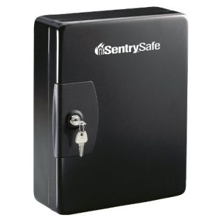 Sentry® Safe 50 Key   Key Cabinet   .24 cubic feet
