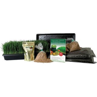 Organic Wheatgrass Grow Kit   11986554   Shopping