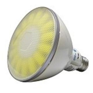 Winterland WL P38 E26 18 WW D LED 18W Outdoor Warm White Par38