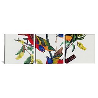 iCanvas Audubon Painted Bunting John James 3 Piece on Wrapped Canvas Set; 24 H x 72 W x 1.5 D