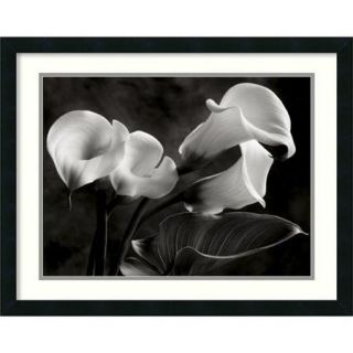 Amanti Art 'Calla Lilies No. 1' by Sondra Wampler Framed Photographic Print