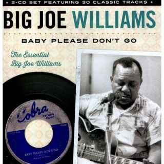 Baby Please Dont Go The Essential Big Joe Williams