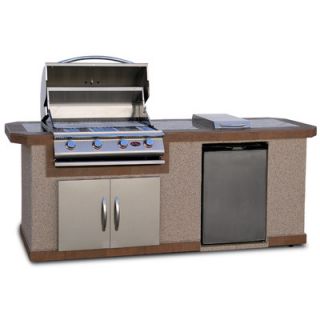 Performance 2 Burner TRU Infrared Gas Grill with Storage Cabinet by