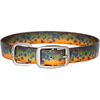 Dublin Dog Trout Dog Collar