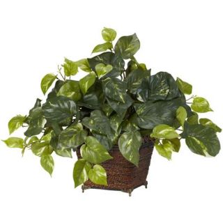 Pothos with Coiled Rope Planter Silk Plant