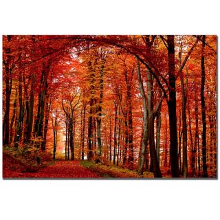 Philippe Sainte Laudy The Red Way Gallery Wrapped Canvas Wall Art