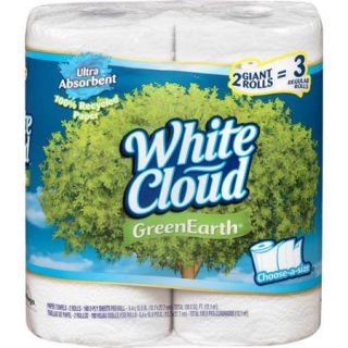 White Cloud GreenEarth Recycled Paper Towels, 2 Pack, 160 Sheets Each