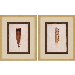 Feathers I 2 Piece Framed Painting Print Set by Paragon