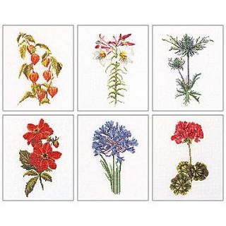 Thea Gouverneur TG3082A Multicolor 8 x 6.75 Floral Studies 2 On Aida Counted Cross Stitch Kit, 6/Set