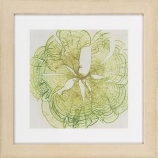 Brilliant Seaweed VIII by Vision Studio Framed Graphic Art