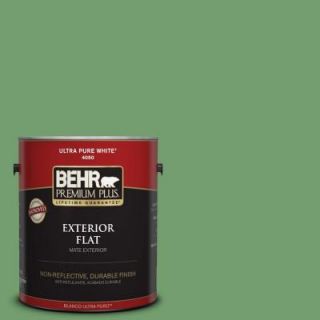 BEHR Premium Plus 1 gal. #450D 6 Shire Green Flat Exterior Paint 430001