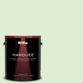 BEHR MARQUEE 1 gal. #P380 2 Misted Fern Flat Exterior Paint 445001