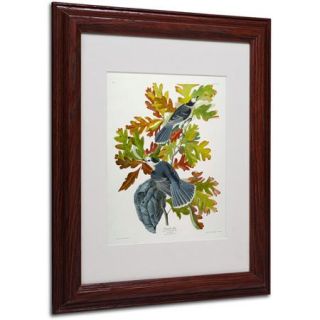 Trademark Fine Art "Canada Jay" Canvas Art by John James Audubon, Wood Frame