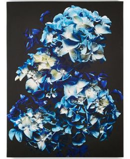 Graham and Brown Blooms in Blue Wall Art   Wall Art   For The Home