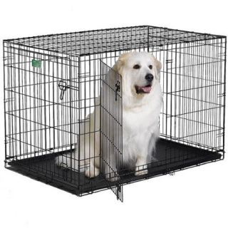 Midwest Homes For Pets iCrate Double Door Pet Crate