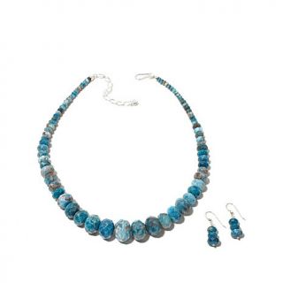 Jay King Blue Apatite 18" Sterling Silver Necklace with Earrings   7743933