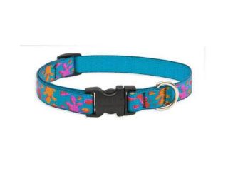 Lupine 93804 .75 in. Wet Paint! 15 in.   25 in. Adjustable Dog Collar
