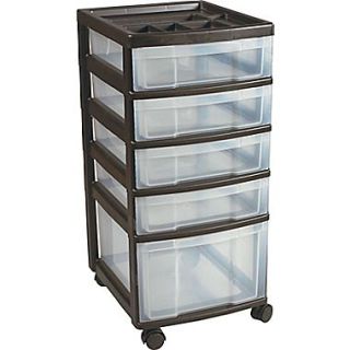 Plastic 5 Drawer Organizer, Black and Clear (116865)
