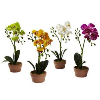Nearly Natural Phalaenopsis Orchid with Clay Vase (Set of 4)