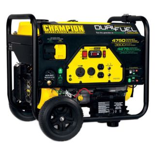 Champion Power Equipment 76533 Dual Fuel Portable Generator   17170154