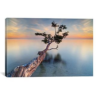 iCanvas Water Tree XIV by Moises Levy Photographic Print on Canvas; 41 H x 61 W x 1.5 D