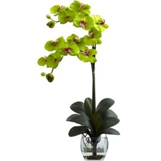 Nearly Natural Double Phalaenopsis Orchid with Vase Arrangement, Green