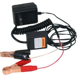 Sportsman Series 2 Piece Automatic Battery Float Charger
