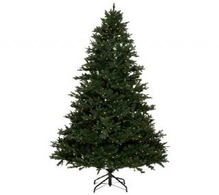 Santas Best Foxwood Fraser Fir Tree with EZ Power & 7 Light Functions —