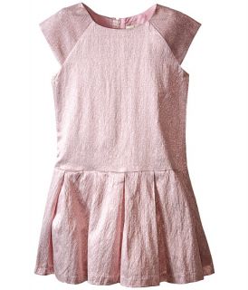 Kate Spade New York Kids Shimmer Dress (Big Kids) Rose Metallic
