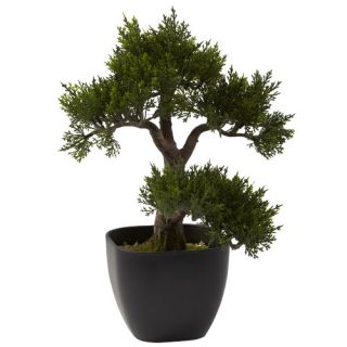 Nearly Natural Nearly Natural Cedar Bonsai Tree in Planter